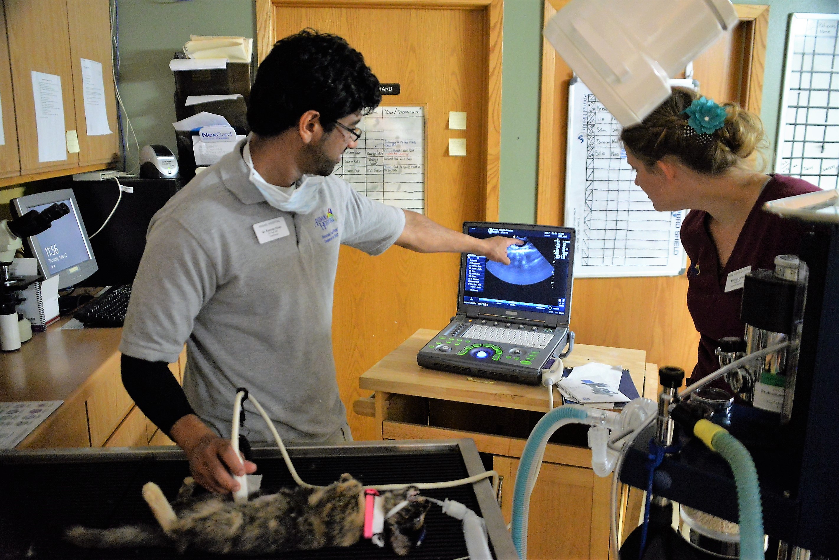 Our lab also includes 3-D ultrasound and digital X-Rays that Dr. Kuchevar & Dr. Khan can use to help diagnose illnesses more quickly and initiate specific treatment the same day. 